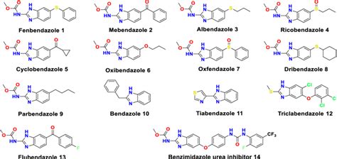<strong> Fenbendazole</strong> For many years, scientists have been researching the<strong> anti-cancer benefits</strong> of<strong> benzimidazole anthelminthics, like</strong>. . Difference between mebendazole and fenbendazole